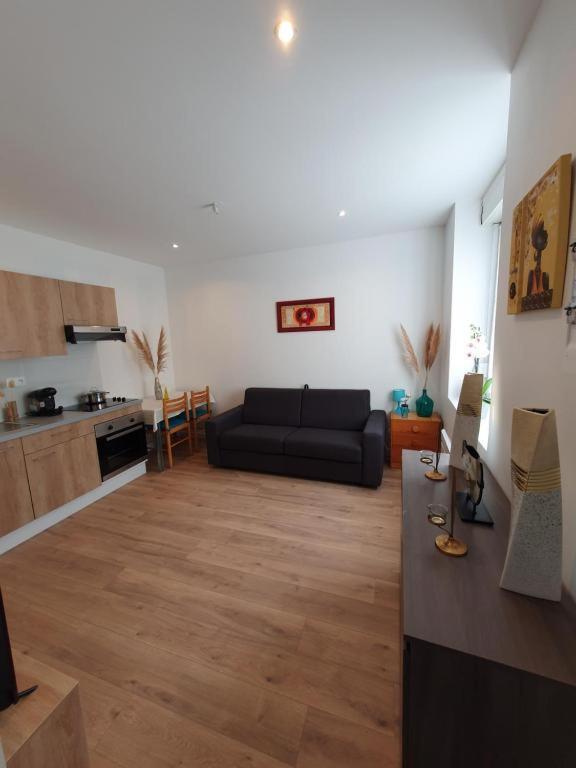 Appart'Hotel, Ikimo 5 Appartements Entiers A Votre Disposition Au Choix Nancy Luaran gambar