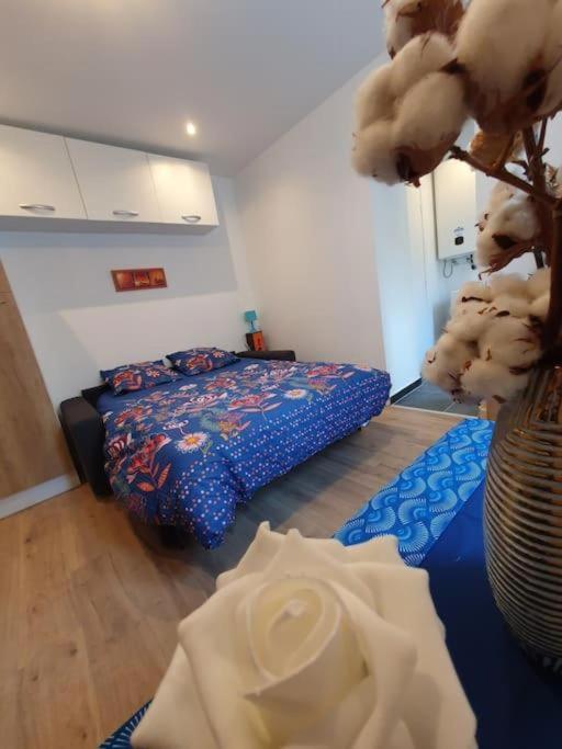 Appart'Hotel, Ikimo 5 Appartements Entiers A Votre Disposition Au Choix Nancy Luaran gambar